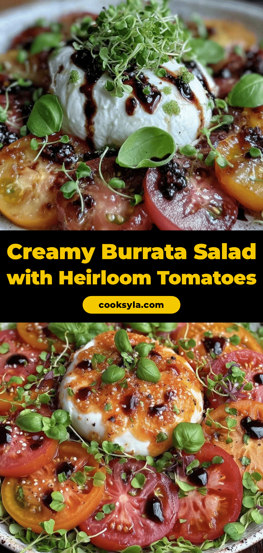 fresh burrata salad recipe