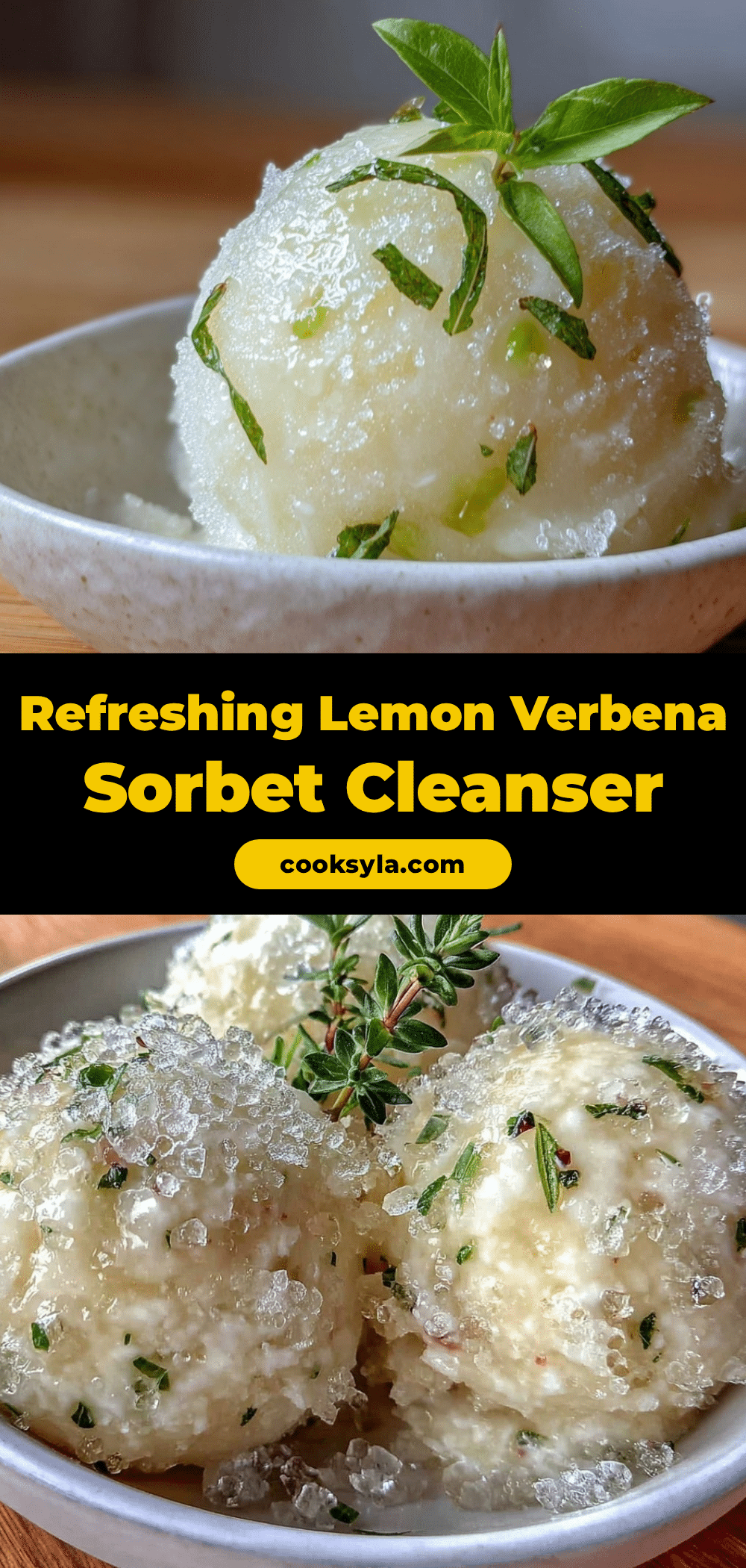 lemon verbena sorbet recipe