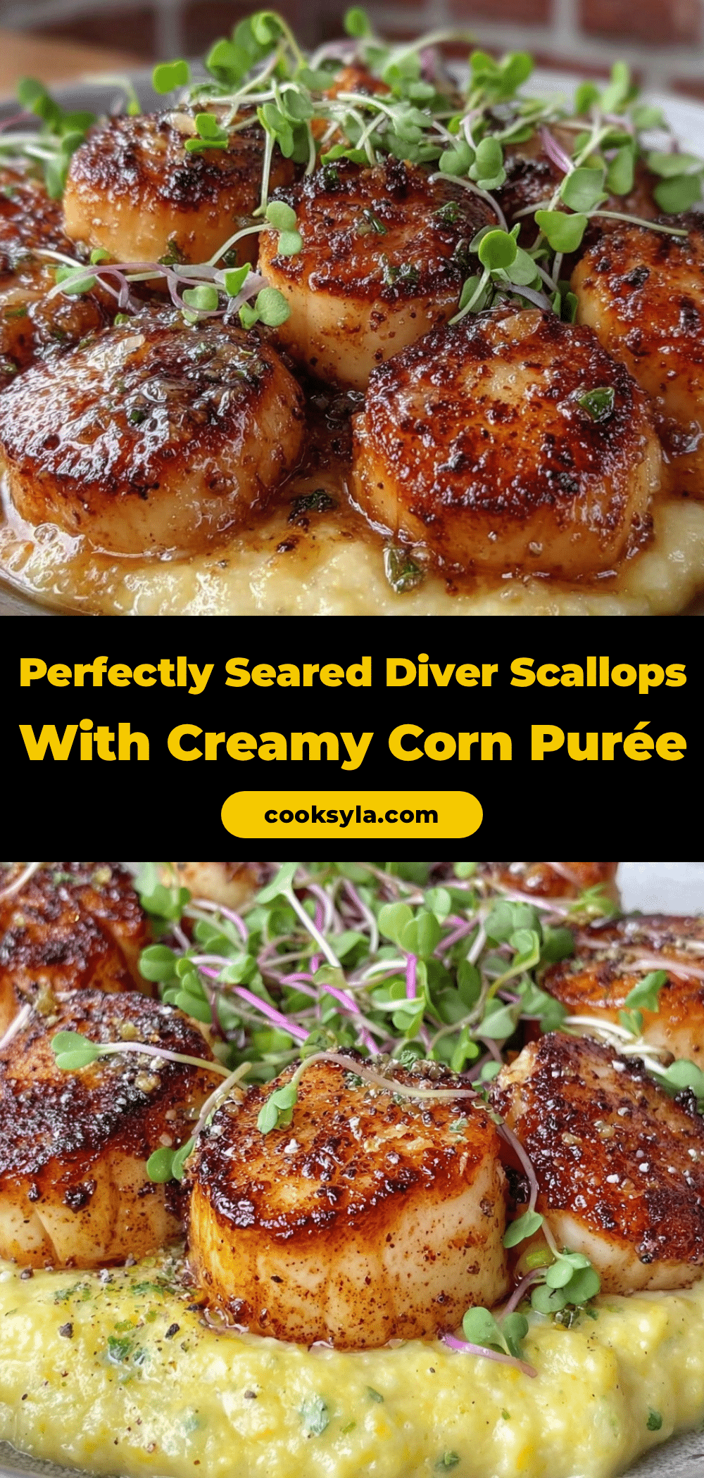 seared diver scallops recipe