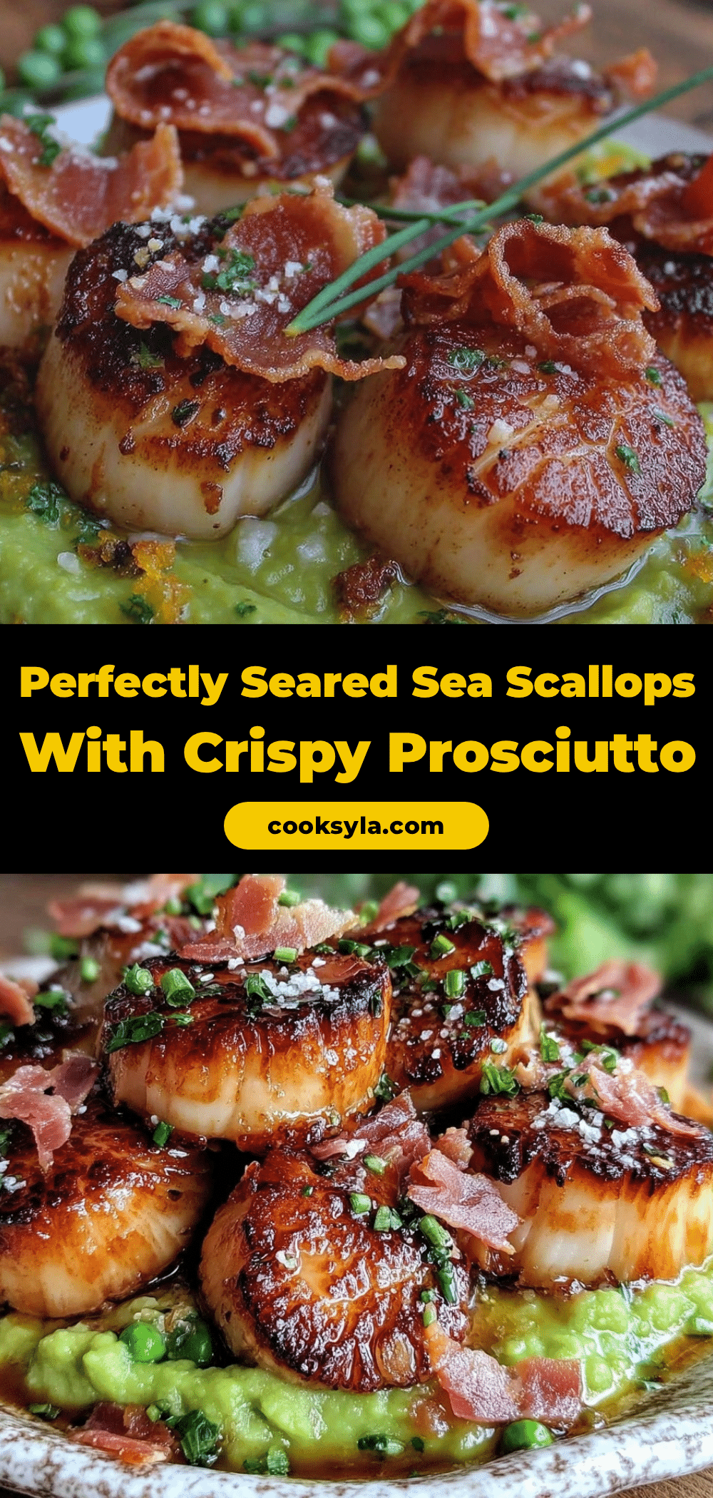seared sea scallops recipe recipe