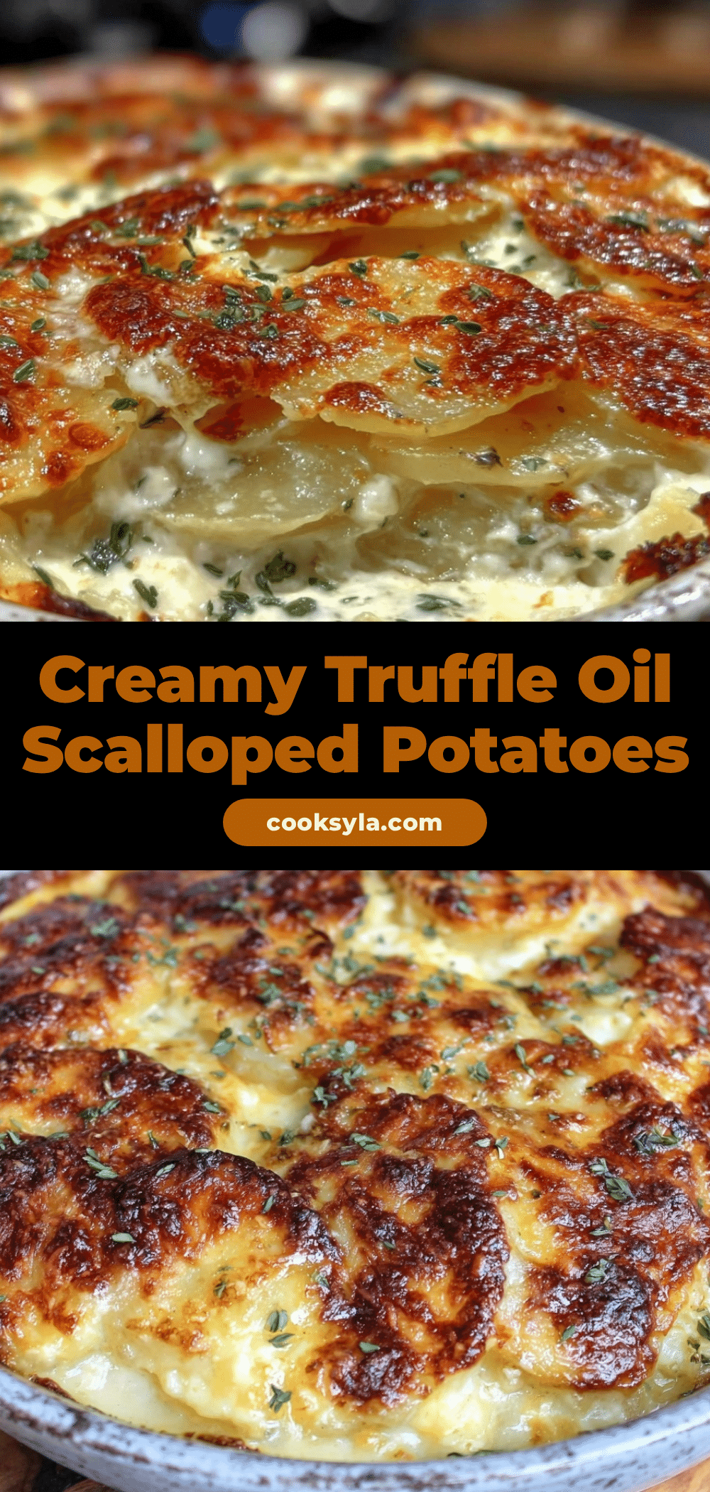 truffle oil scalloped potatoes recipe