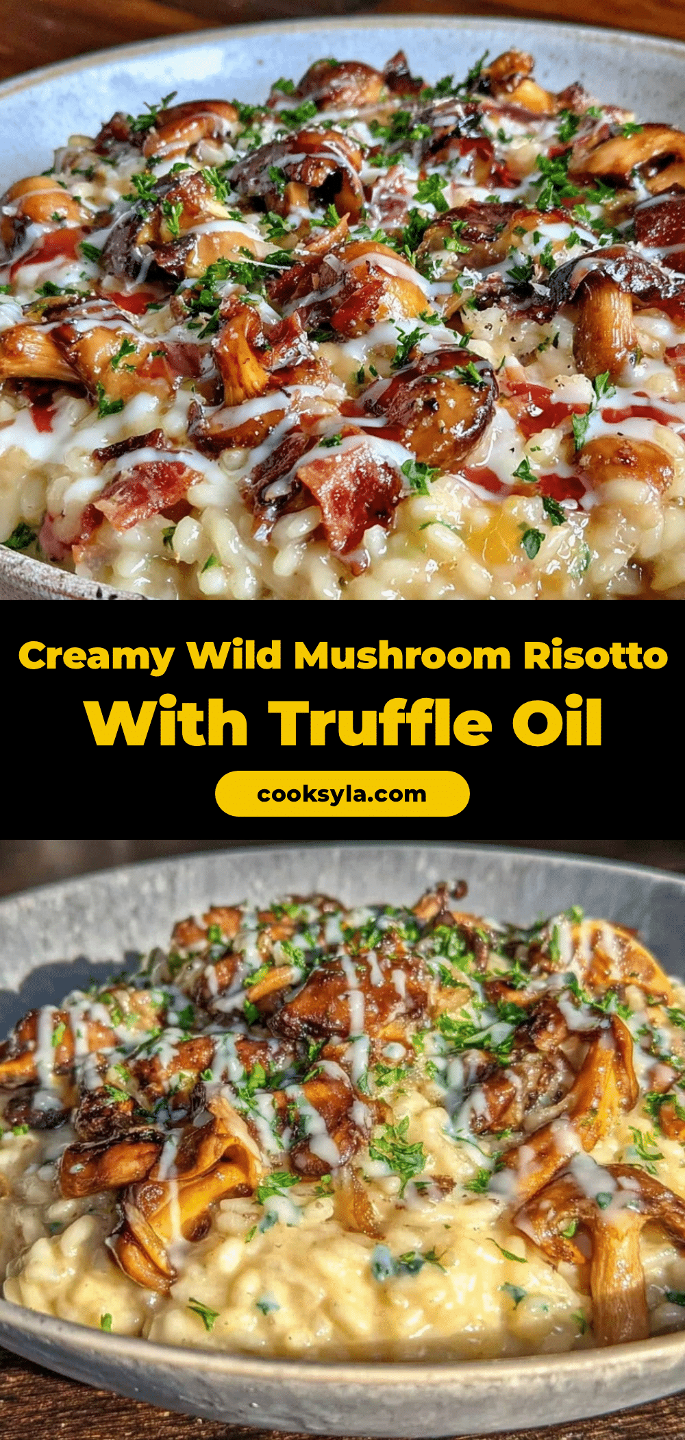wild mushroom risotto recipe