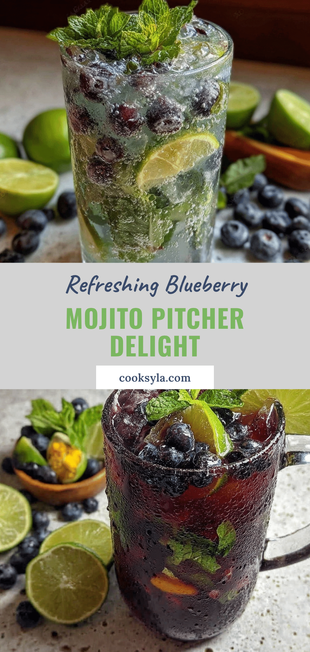 blueberry mojito pitcher recipe recipe