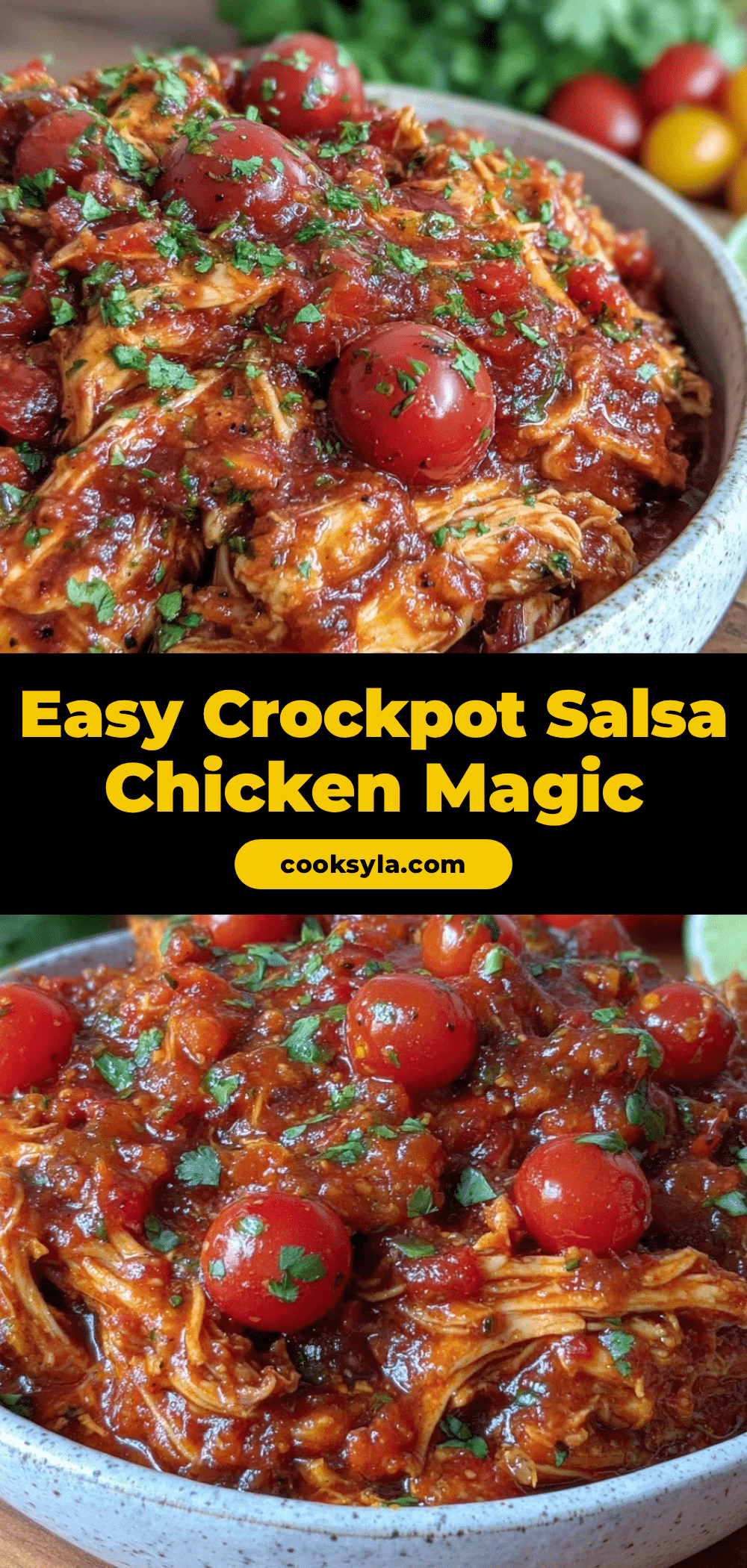 Easy Crockpot Salsa Chicken recipe
