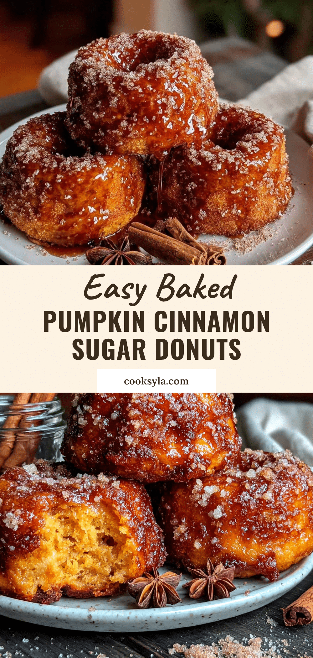 baked pumpkin donuts with cinnamon sugar recipe