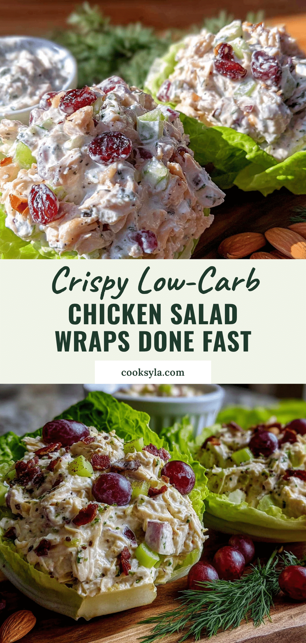 chicken salad lettuce wraps recipe