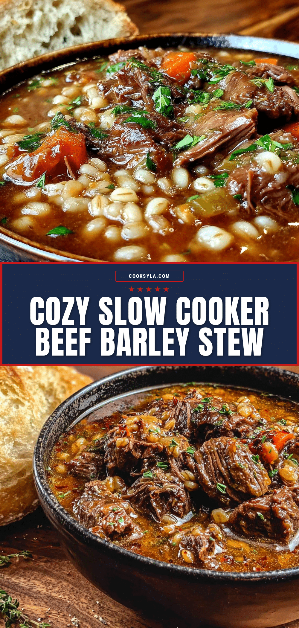cozy crockpot beef and barley stew recipe