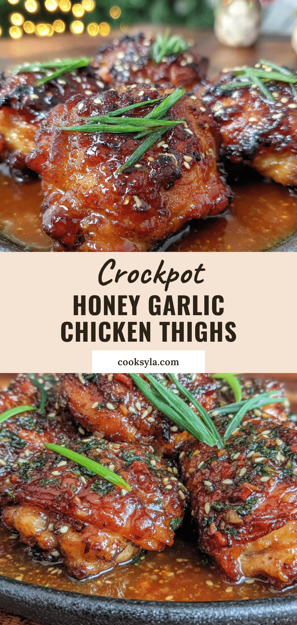 crockpot honey garlic chicken thighs recipe