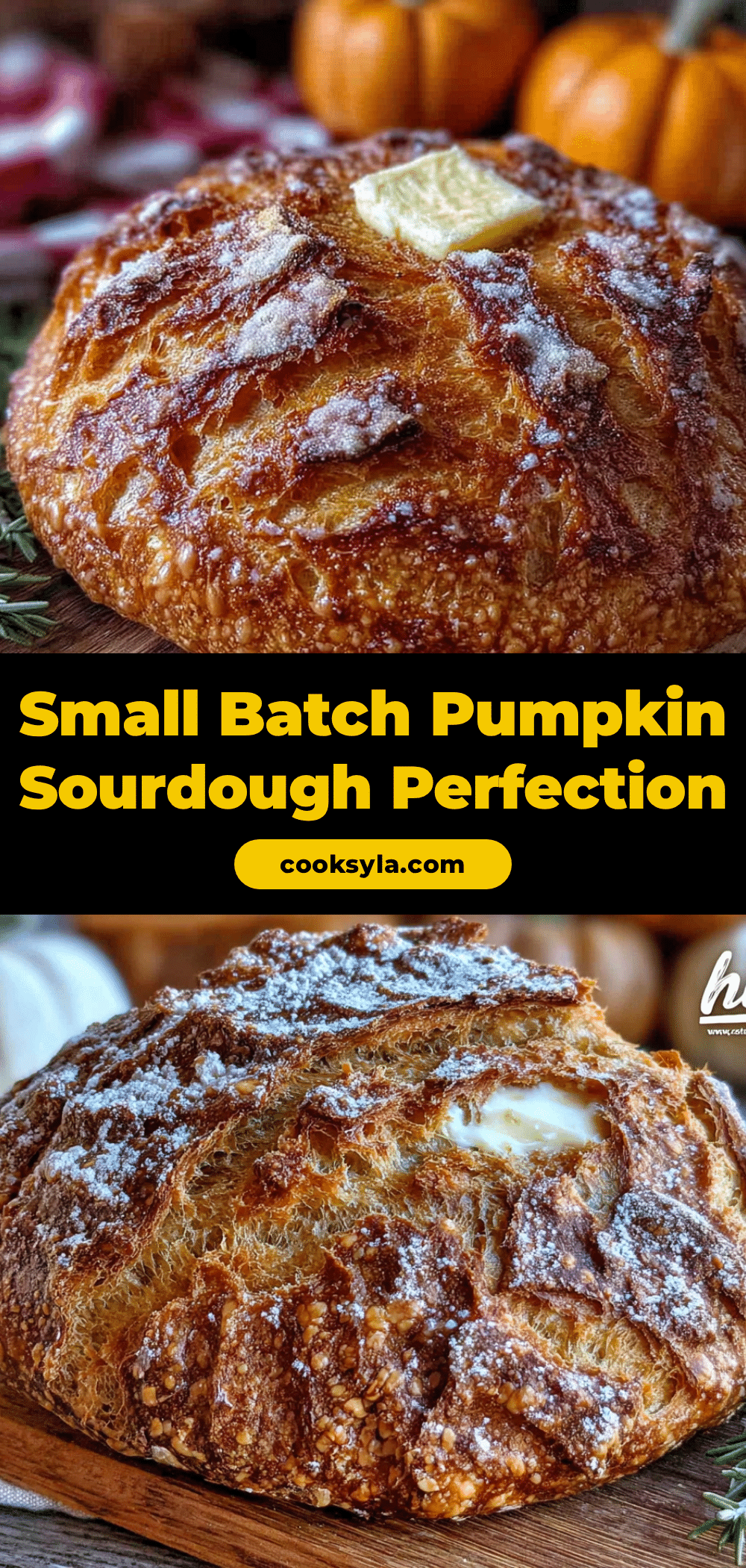 pumpkin sourdough loaf recipe
