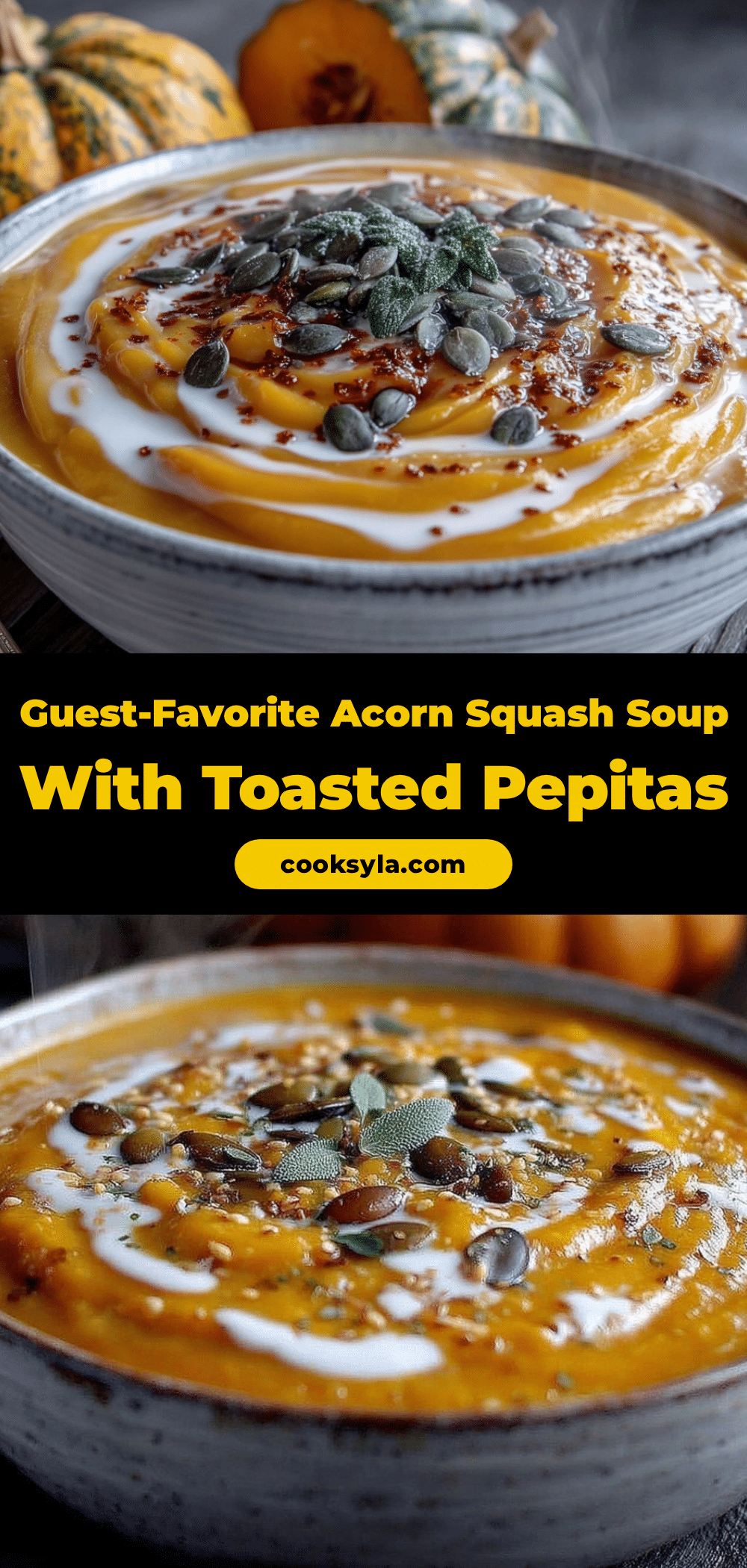 acorn squash soup recipe recipe