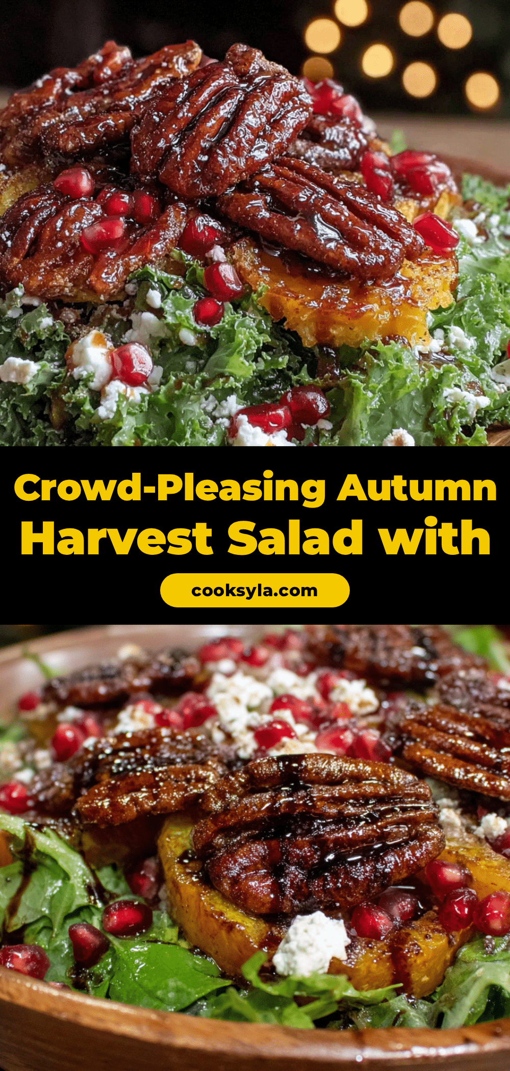 autumn harvest salad with candied pecans recipe