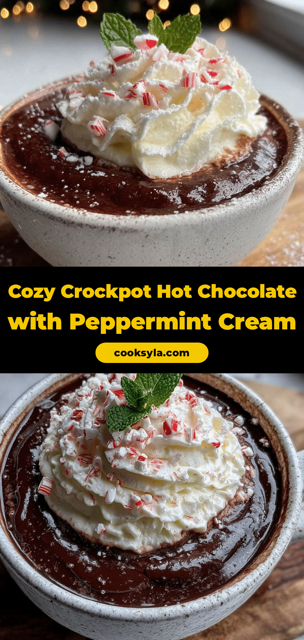 cozy crockpot hot chocolate recipe