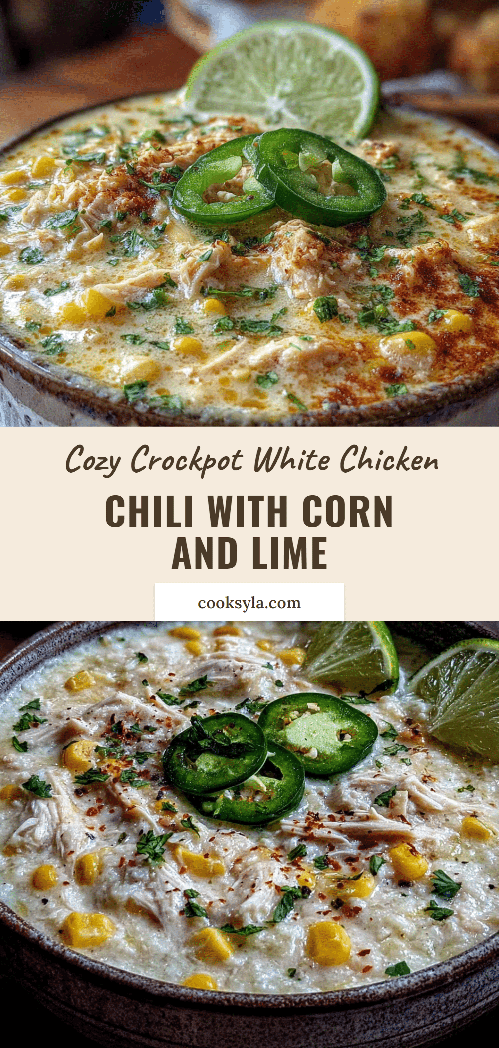cozy crockpot white chicken chili recipe