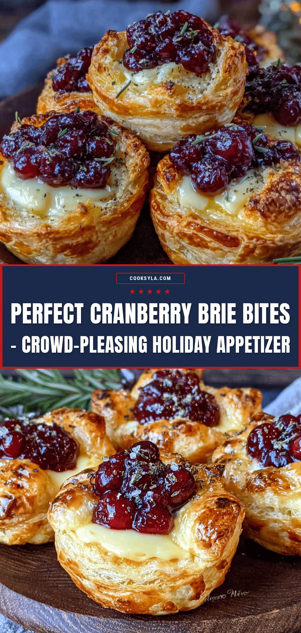 cranberry brie bites recipe