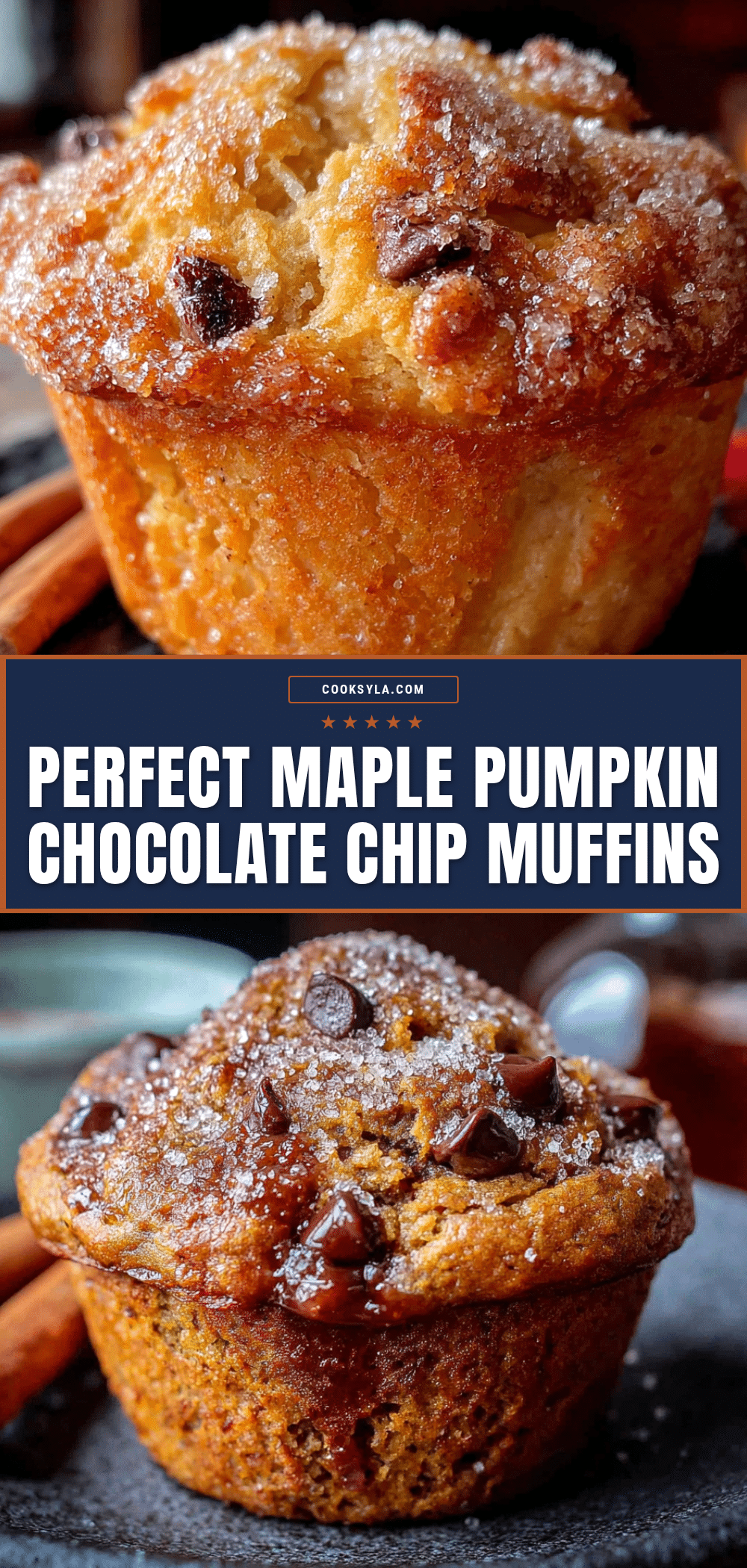 maple pumpkin chocolate chip muffins recipe