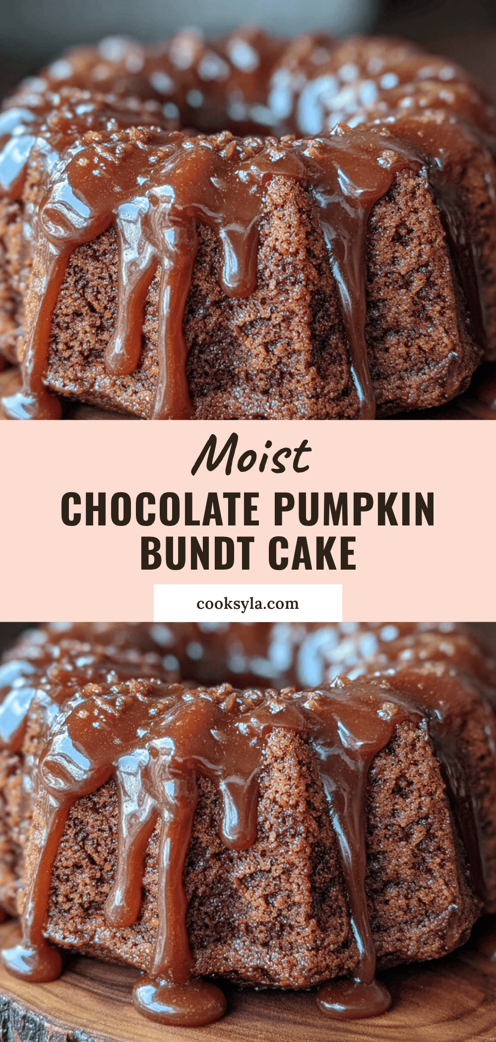 moist chocolate pumpkin bundt cake recipe