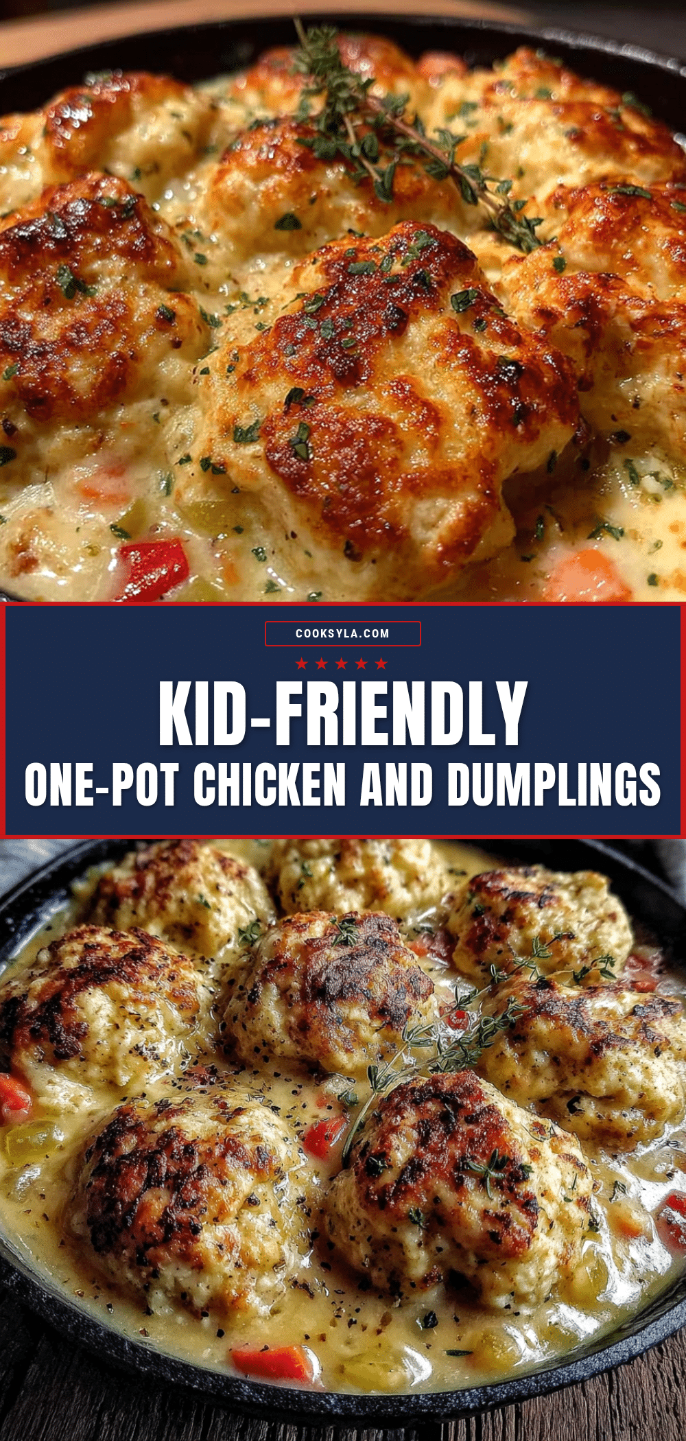 one pot chicken and dumplings recipe