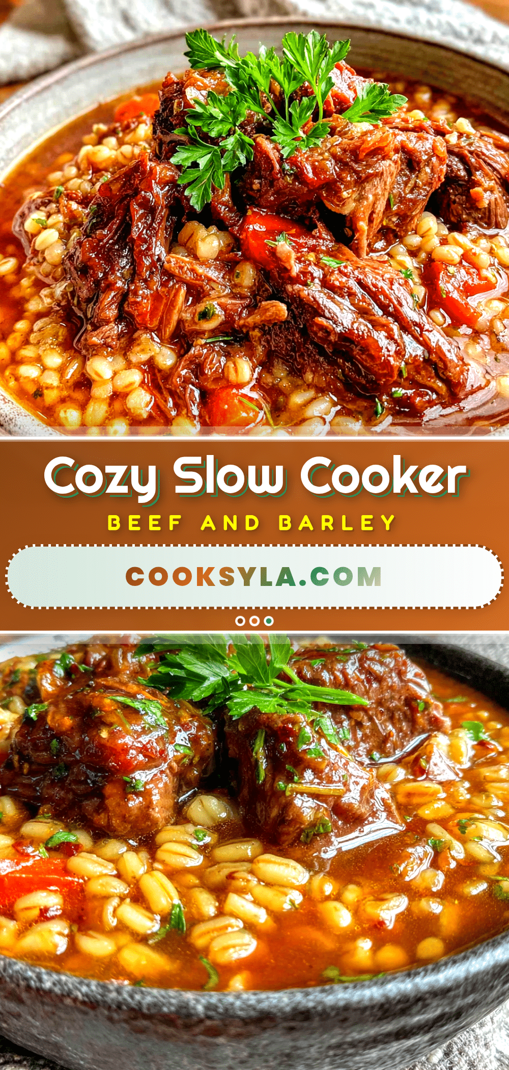 slow cooker beef and barley stew recipe